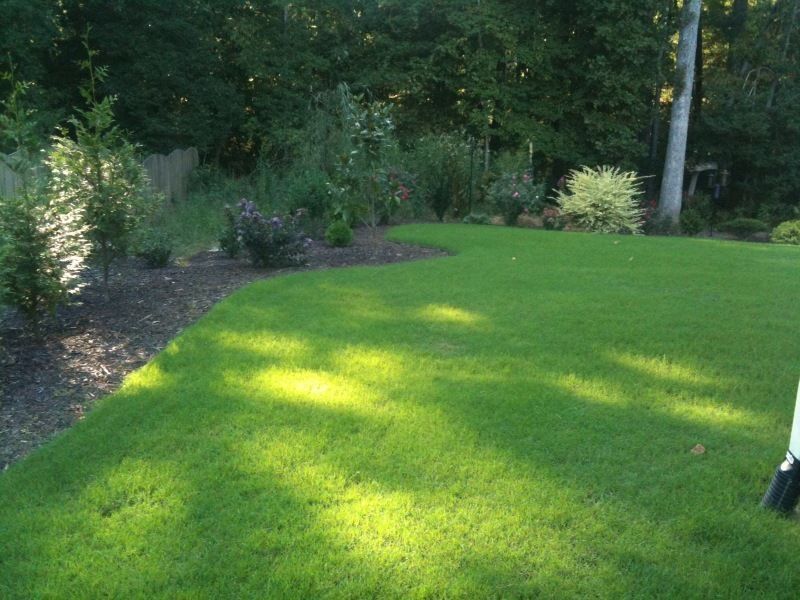 Common Bermuda Grass Seeds Hulled & Coated – 50 Lbs.