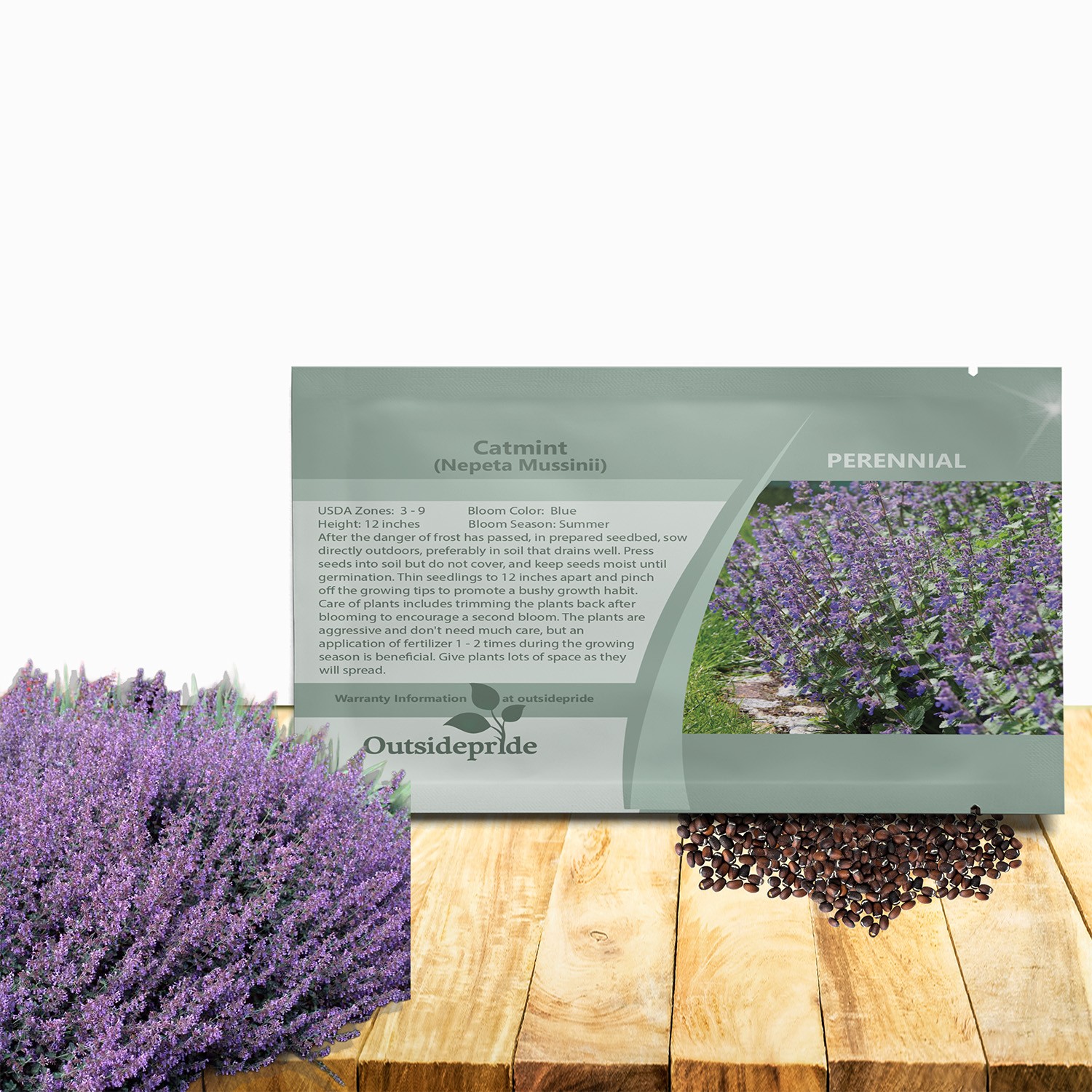 1000 Seeds Blue Catmint Seeds For Planting | Perennial Nepeta Flower Seeds