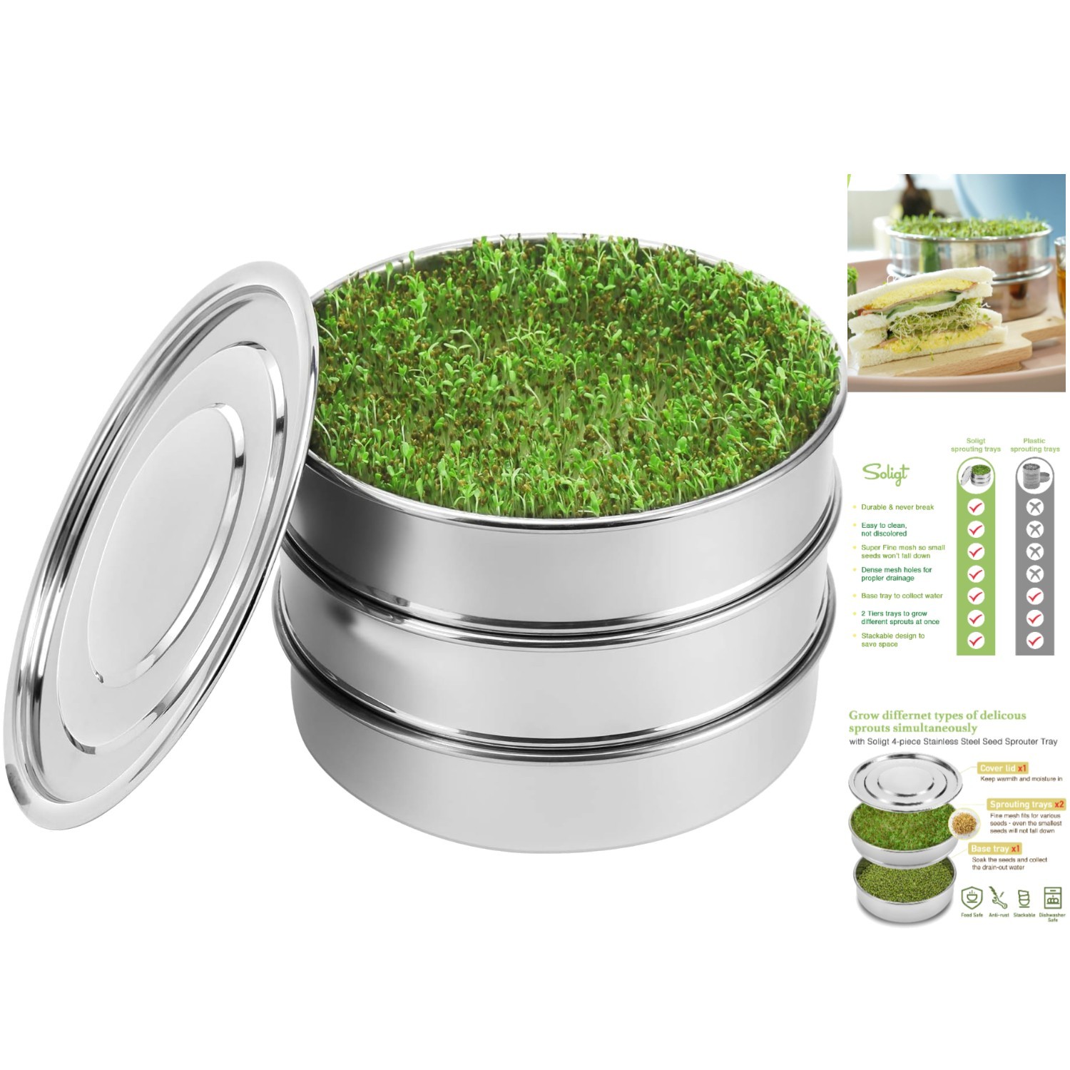 Elegant Indoor Seed Sprouting Kit with Covered Base – Perfect for Fresh Sprouts