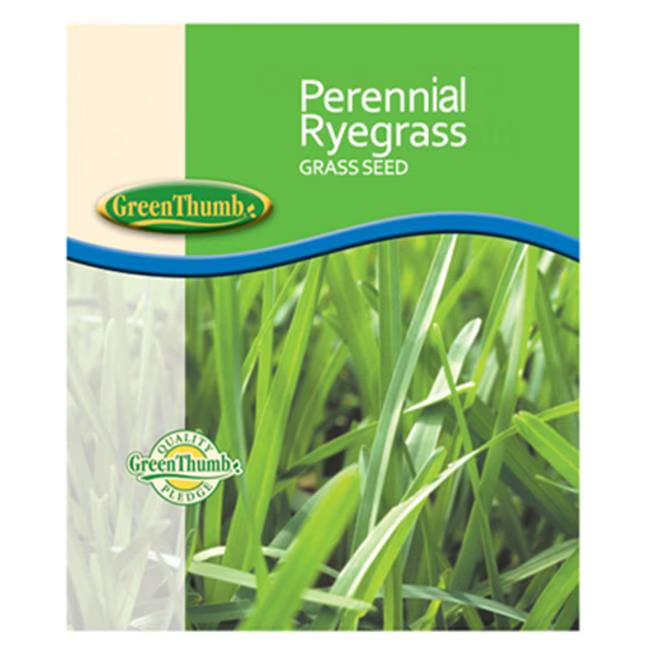Barenbrug Perennial Ryegrass Full Sun/Light Shade Grass Seed 50 lb PRG50PLT
