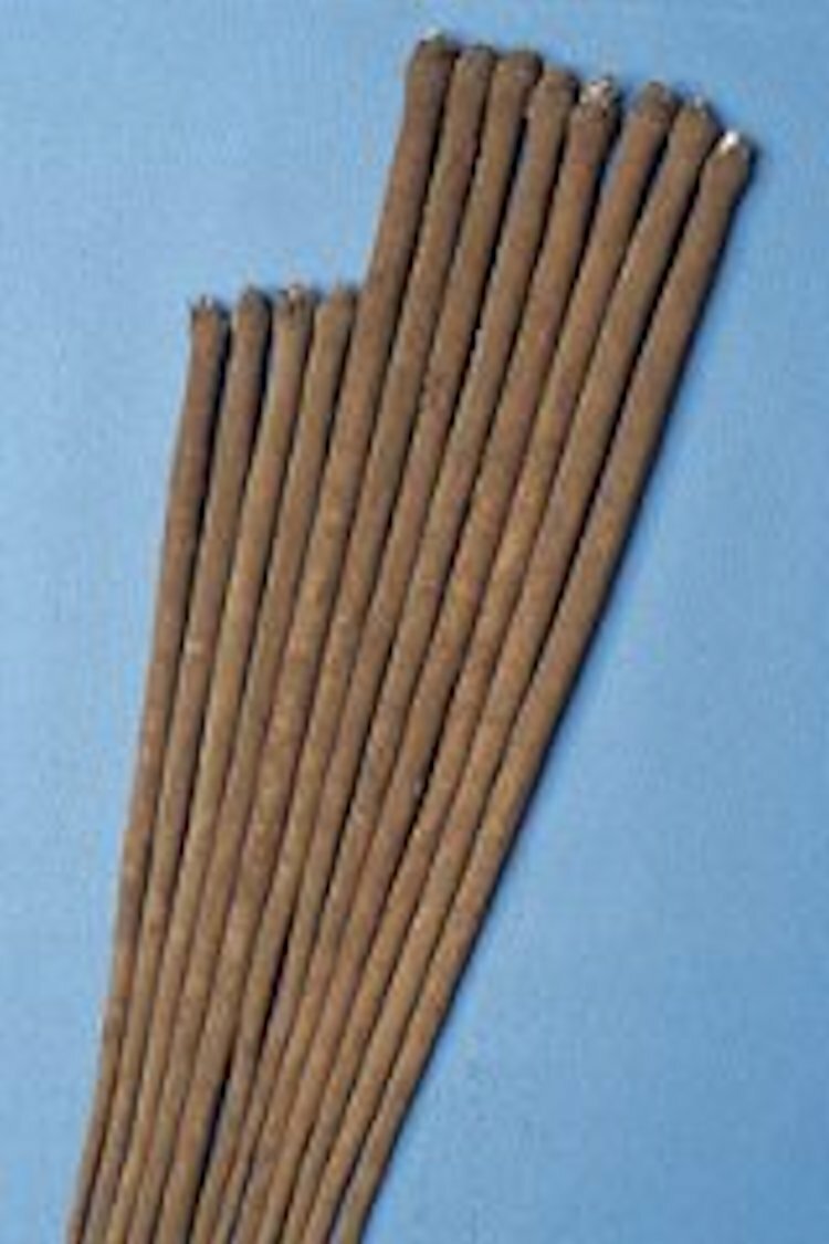 50 Burdock Gobo Watanabe Early Arctium lappa Seeds Non-GMO Heirloom