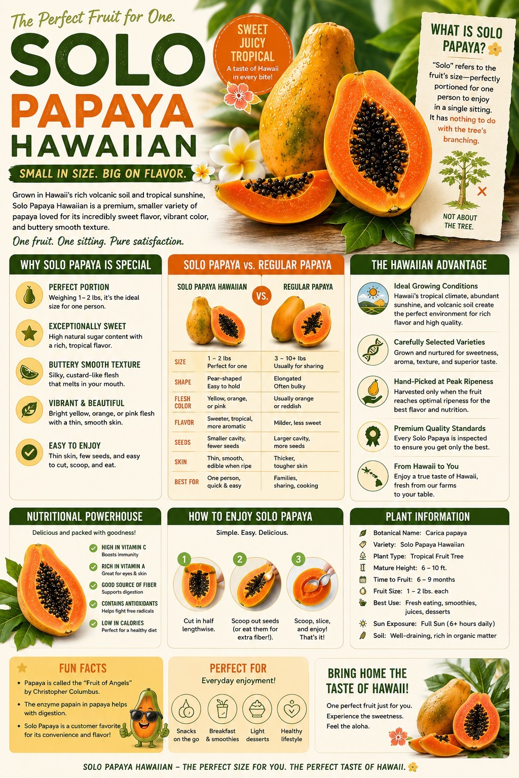 Kapoho Solo Papaya 6”–10” Live Hawaiian Plant | Sweet Golden Fruit – Organic USA