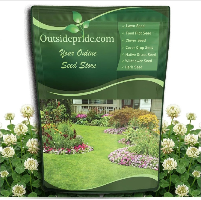 Outsidepride White Dutch Clover Seed 5lb – Lawn Alternative & Ground Cover