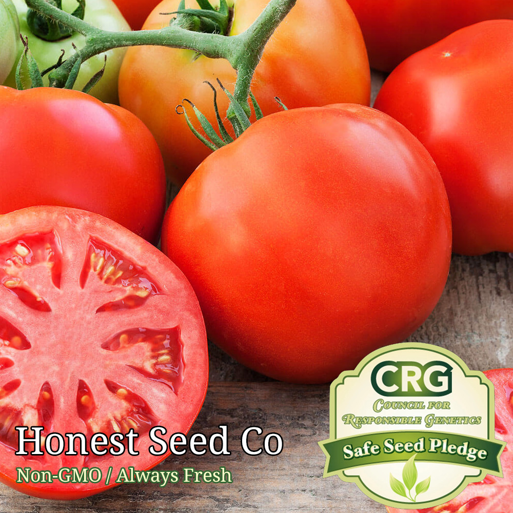 Beefsteak Tomato Seeds | Heirloom | Non-GMO | USA Garden, Seeds Free Shipping