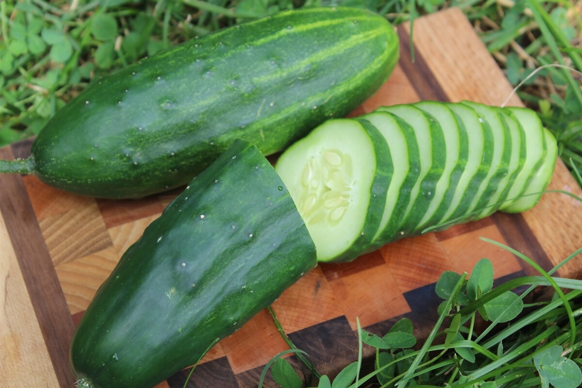 Spacemaster Cucumber Seeds HEIRLOOM – NON GMO Fresh Seeds for Your Garden