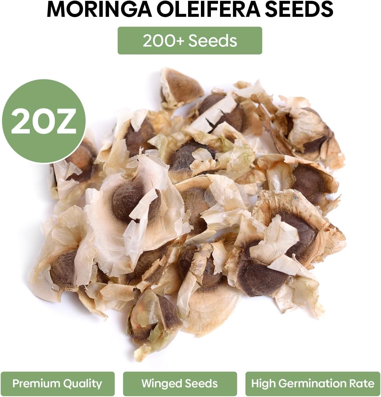 Moringa Seeds for Planting, 2 Ounce 140+ Seeds, 100% Natural Semillas de Mori…