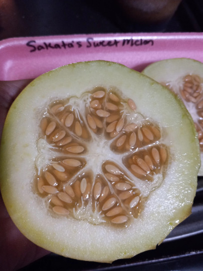 Sakata’s Sweet Melon 15 Seeds COMBINED S/H – SEE MY STORE