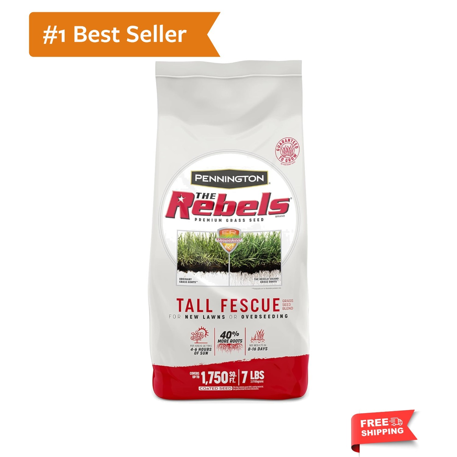 7 lb The Rebels Tall Fescue Seeds for Thick, Lush Lawns – 10,000 sq ft Coverage