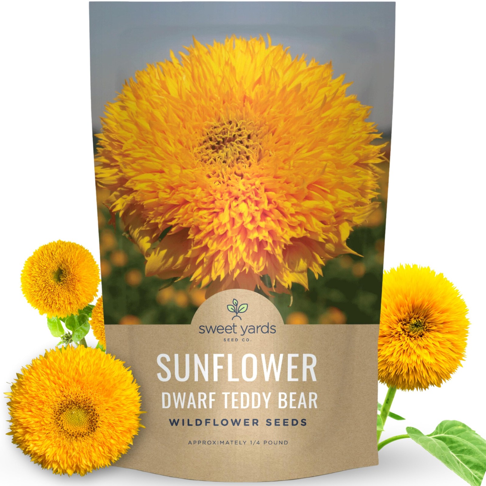 Dwarf Teddy Bear (Sungold) Sunflower – Bulk 1/4 Pound Pouch – 5,000 Flower Se…