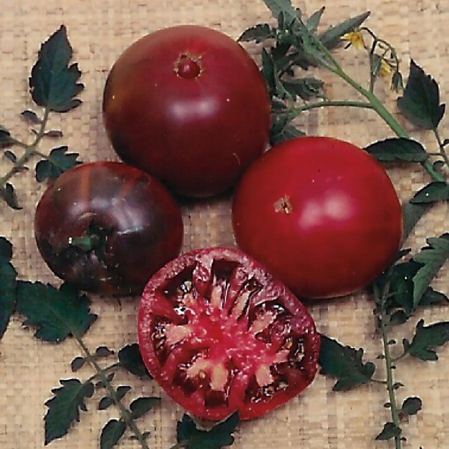 30+ Russian Black Krim Tomato Seeds – NON GMO – ORGANIC – HEIRLOOM — FRESH