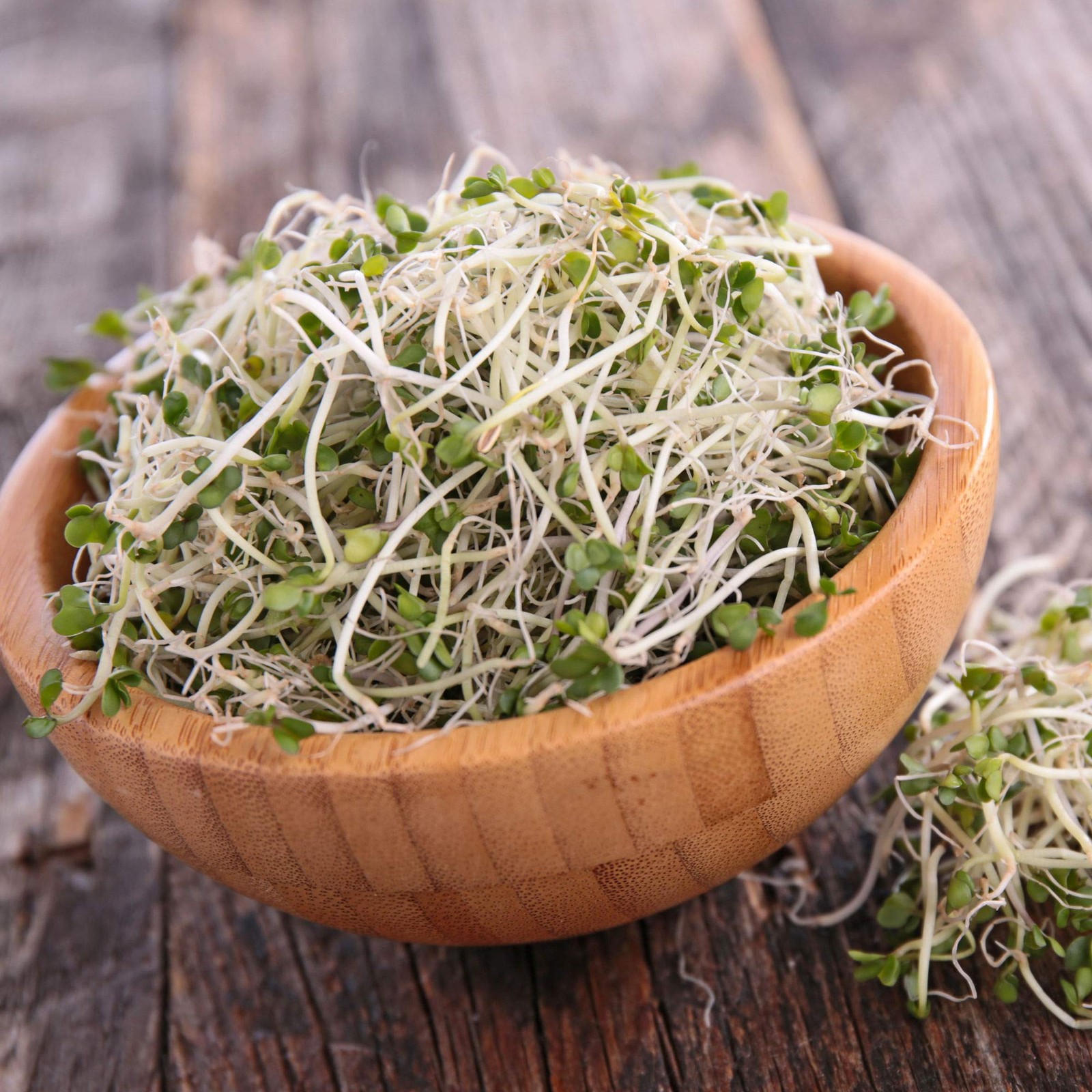 Organic Broccoli Sprouting Seeds 8 Oz High Sulforaphane Superfood Non Gmo