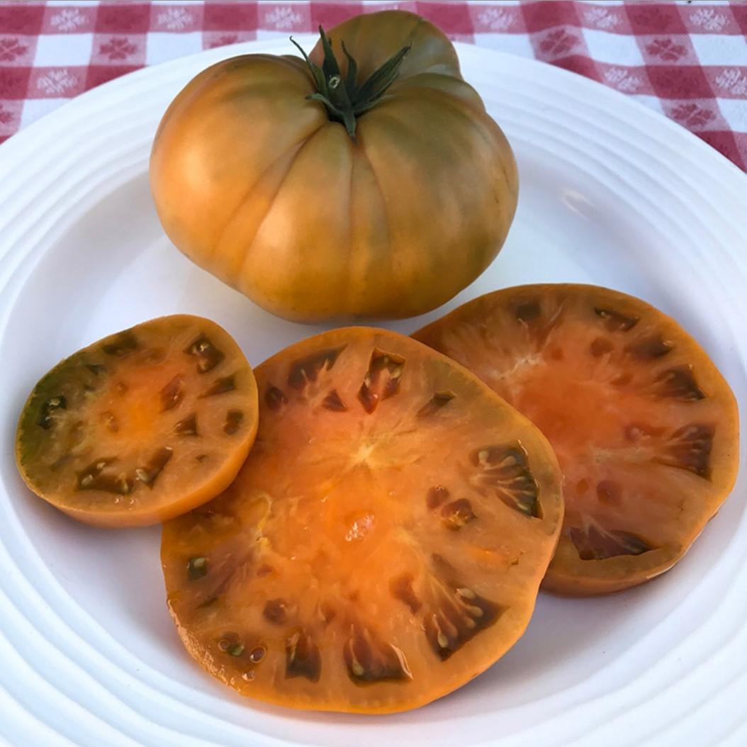 10 seeds Uluru Ochre DWARF Tomato Variety ORGANIC DTP beefsteak
