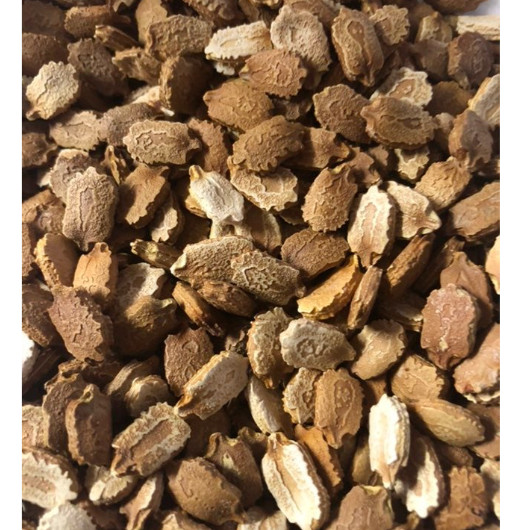 SHORT GREEN SKIN BITTER MELON SEEDS – KHỔ QUA TRÁI LÙN (5 pcs)