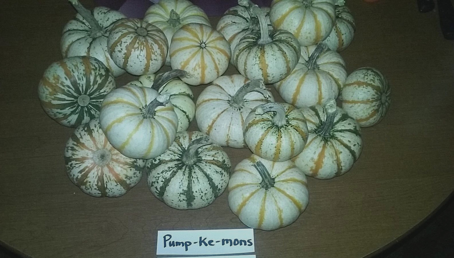 Pump-ke-mons Pumpkin Seeds- COMB. S/H- SEE MY STORE