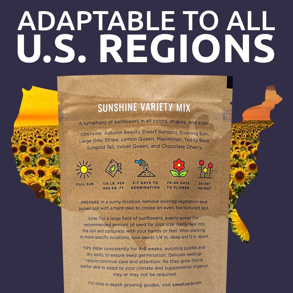 Bulk Sunflower Seeds – Variety Mix 10 Types of Beautiful Sunflowers – 1/4 Pou…