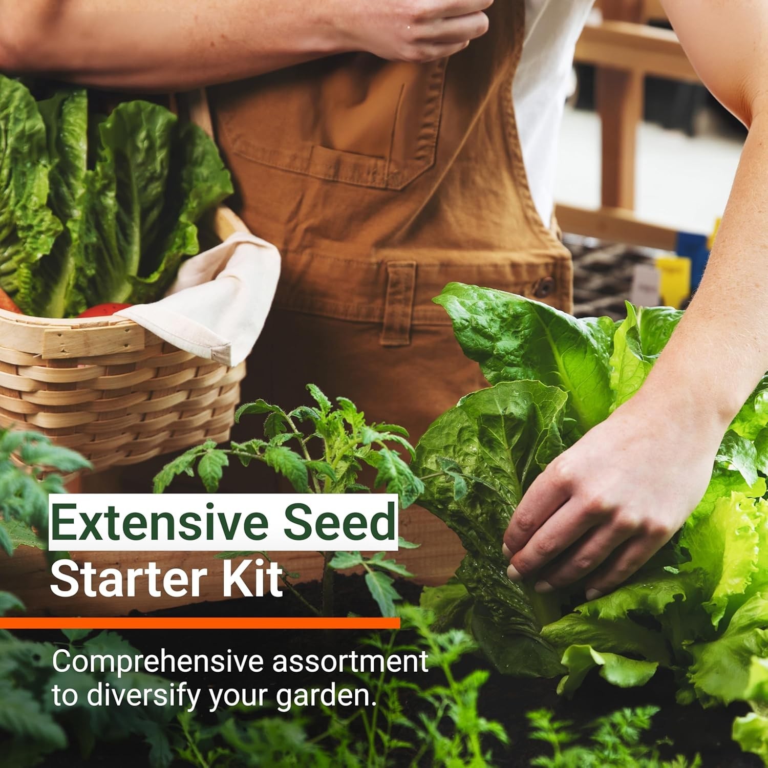 Pet-Friendly Herb Seeds | 12 Varieties of Heirloom Non-GMO Garden Essentials