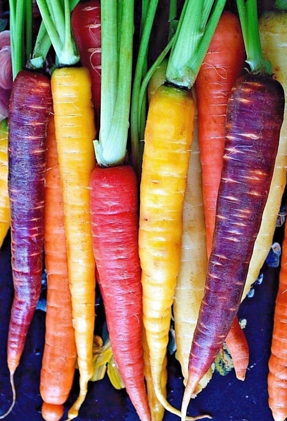 Heirloom Rainbow Carrot Mix | Heirloom | Organic