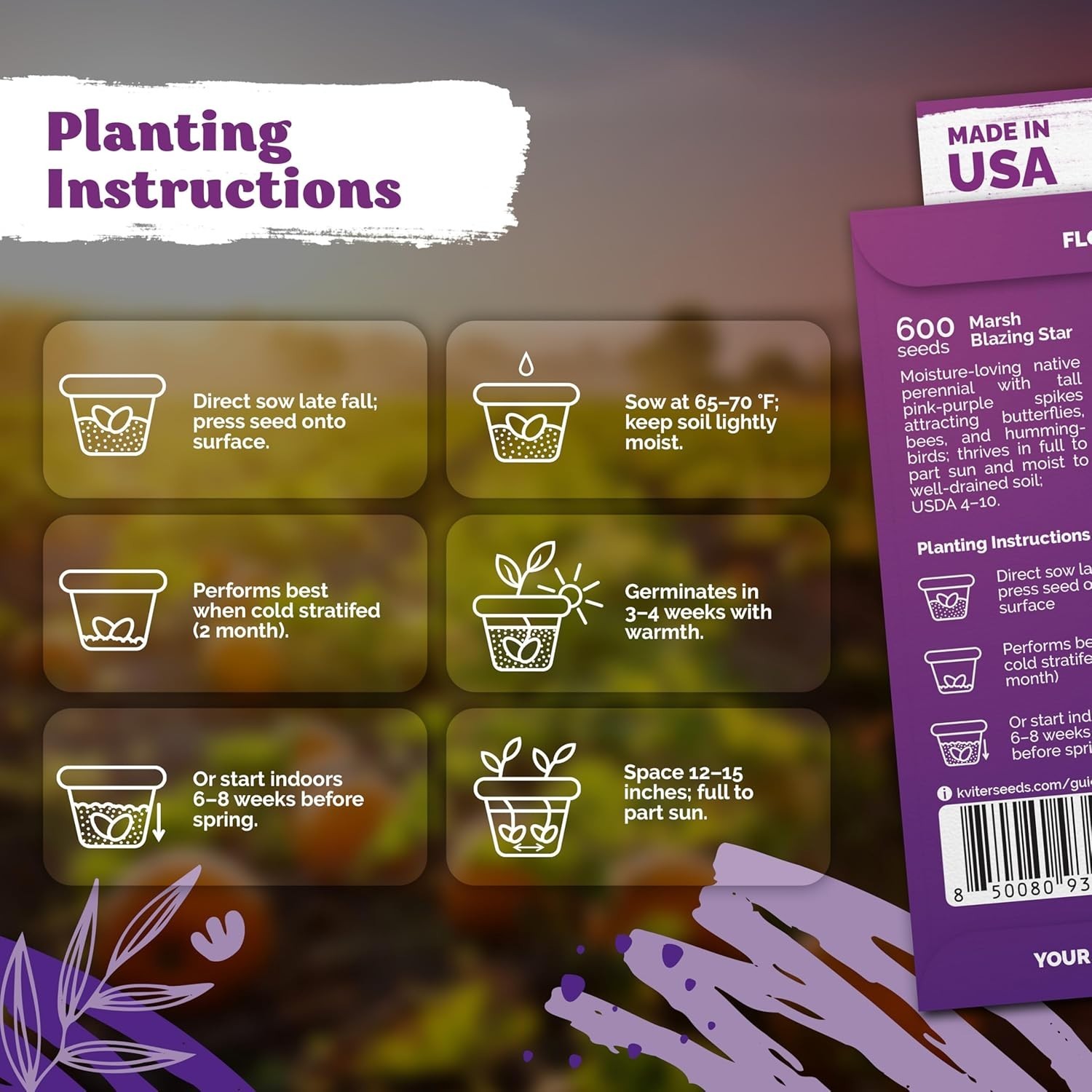 600 Pink Blazing Star Wildflower Seeds for Garden & Containers