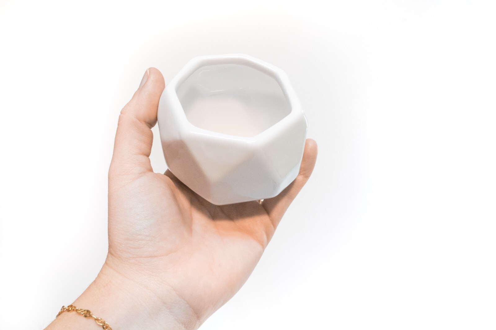White Ceramic Holder with Custom Air Plant – Easy Indoor Outdoor Succulent