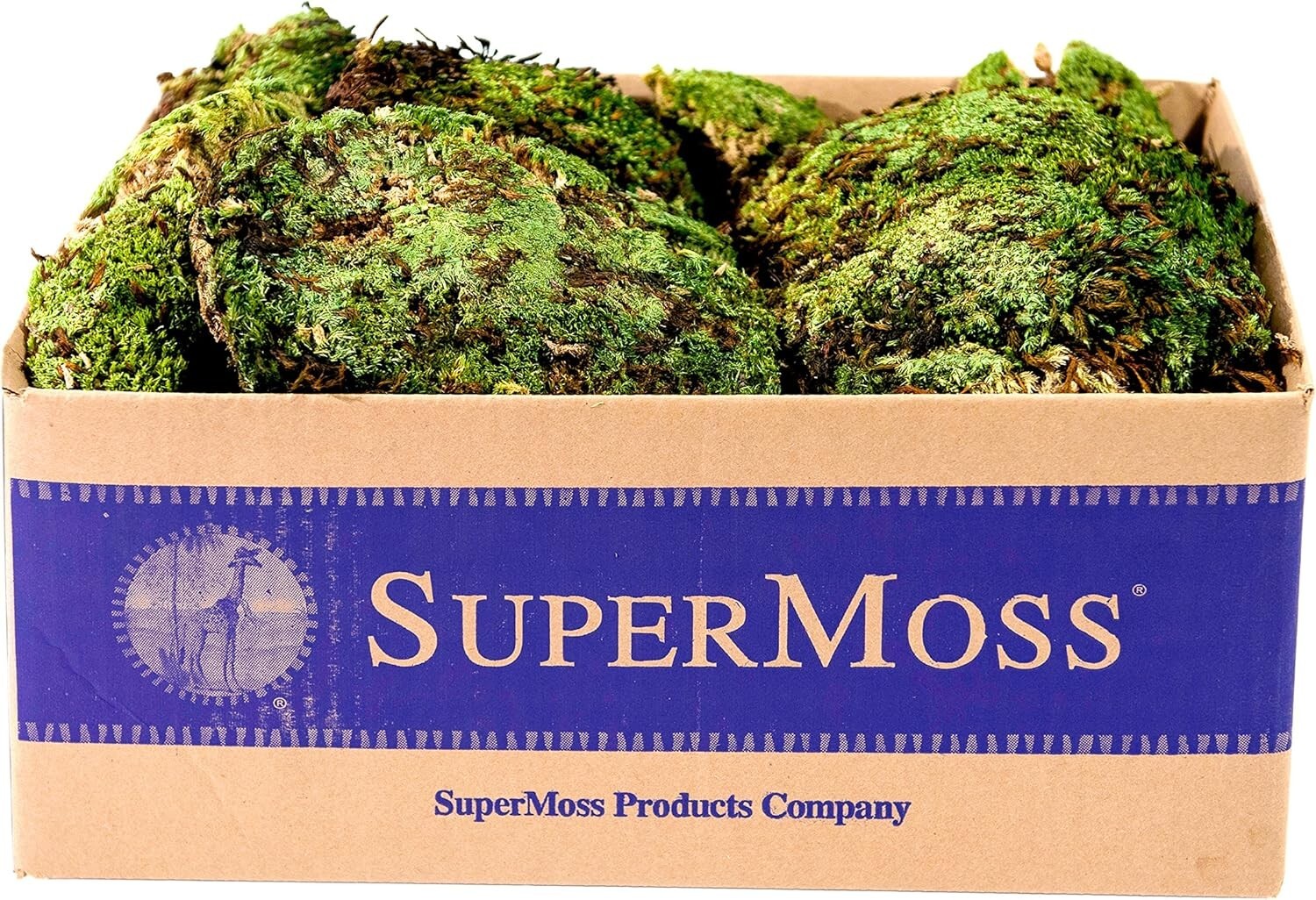 SuperMoss (21881 Royal Pool Moss Preserved, Fresh Green, 3lbs (6-2B)