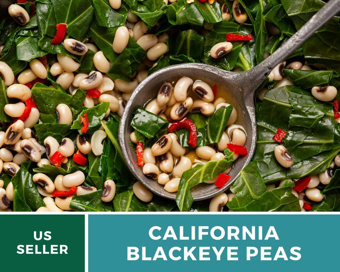 Peas, California Blackeye – Cowpeas – 100 Seeds – Heirloom – NonGMO