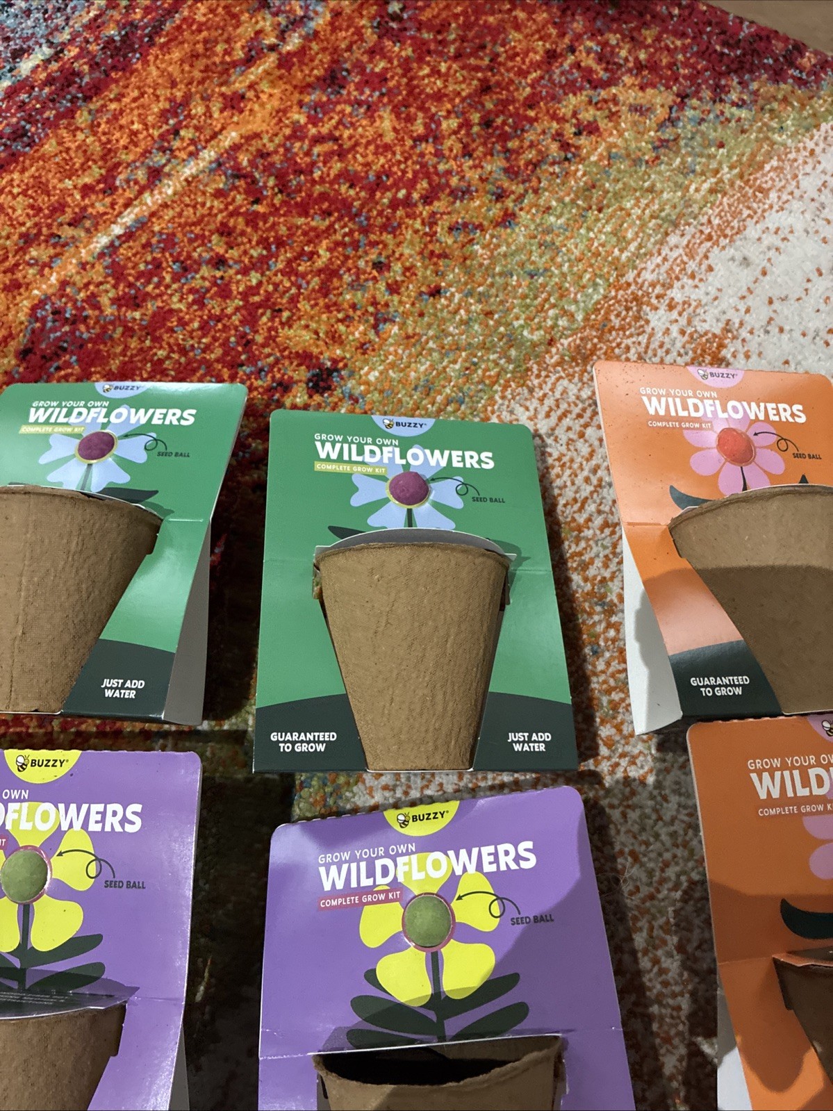 BUZZY Seeds Mini Pots 6 Pack with Plant Seeds For Wild Flowers!