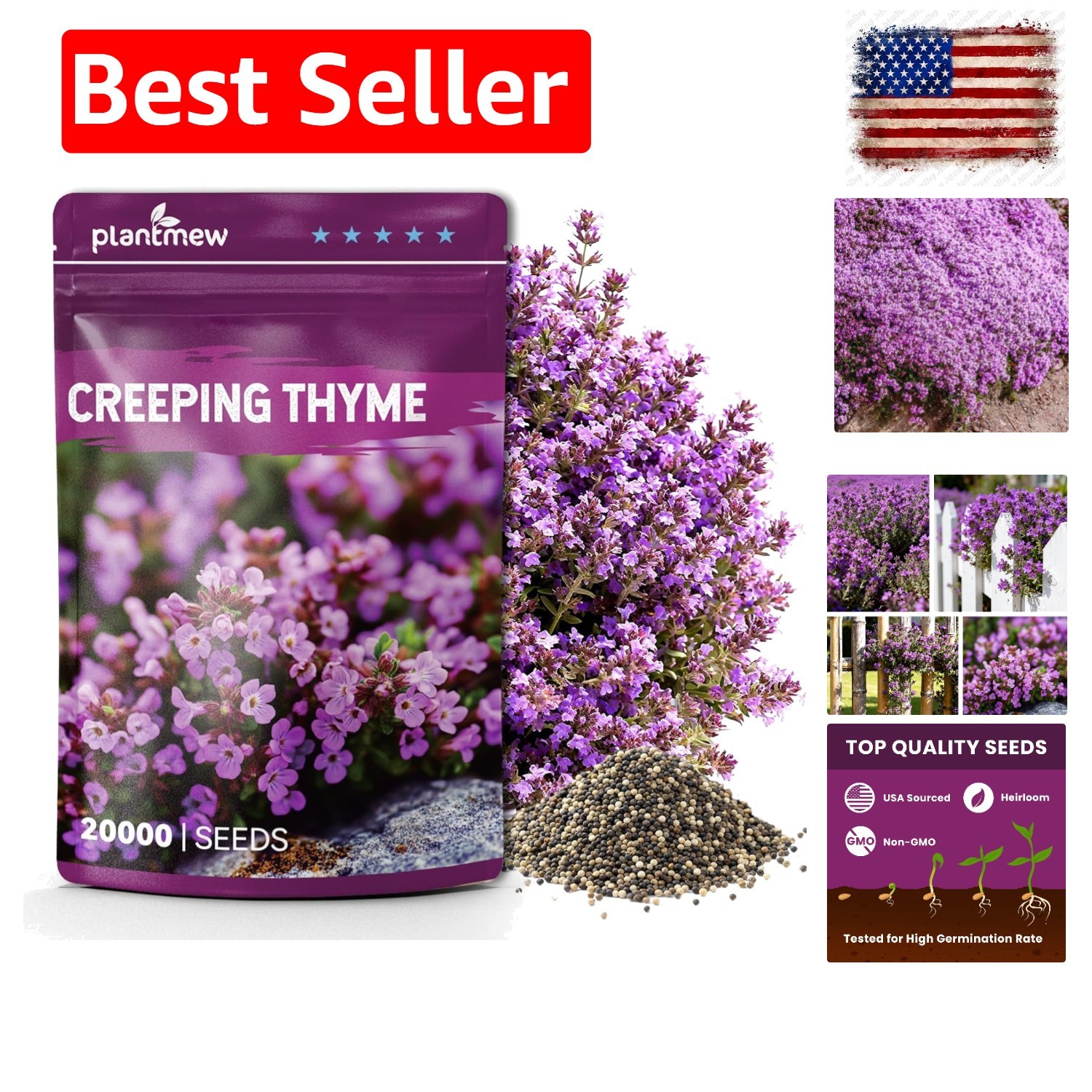 20000+ Creeping Thyme Seeds Thymus Serpyllum, Ground Cover Seeds, Fragrant La…