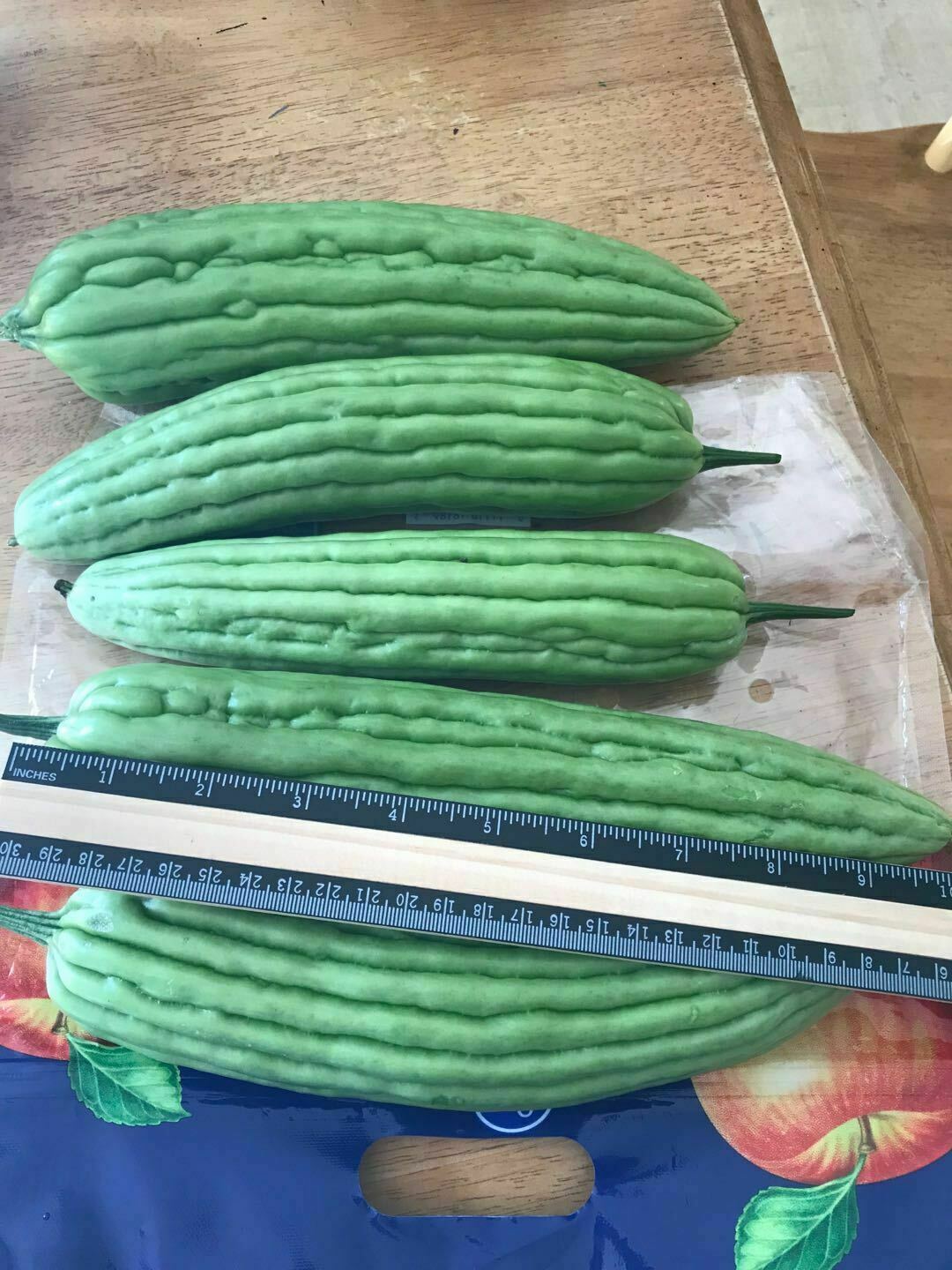 20 pc Organic Bittermelon Green Jade Seeds Harvest from my garden US Seller
