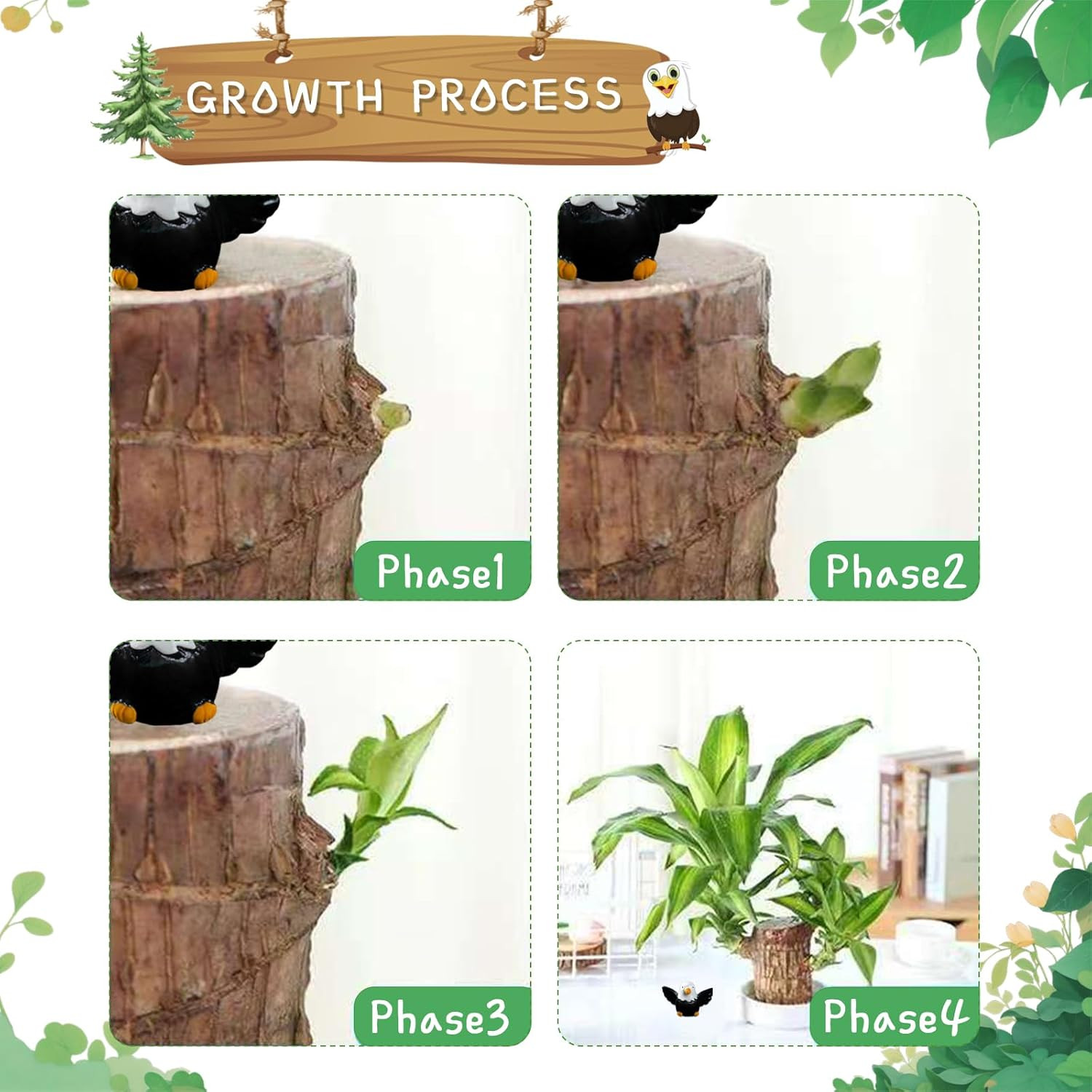 Brazilian Lucky Wood Plant,Fortune Brazil Wood Potted Plant with Eagle Figurine,
