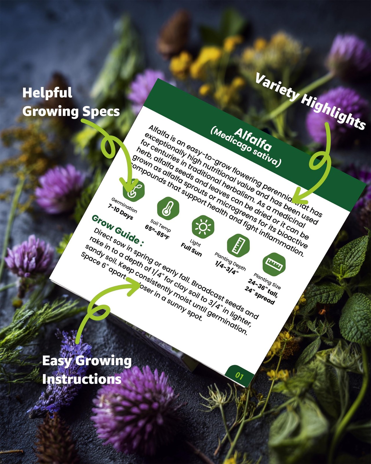 Medicinal Herb Seeds Variety Pack 36 NonGMO Herbal Tea Garden Seeds Chamomil…