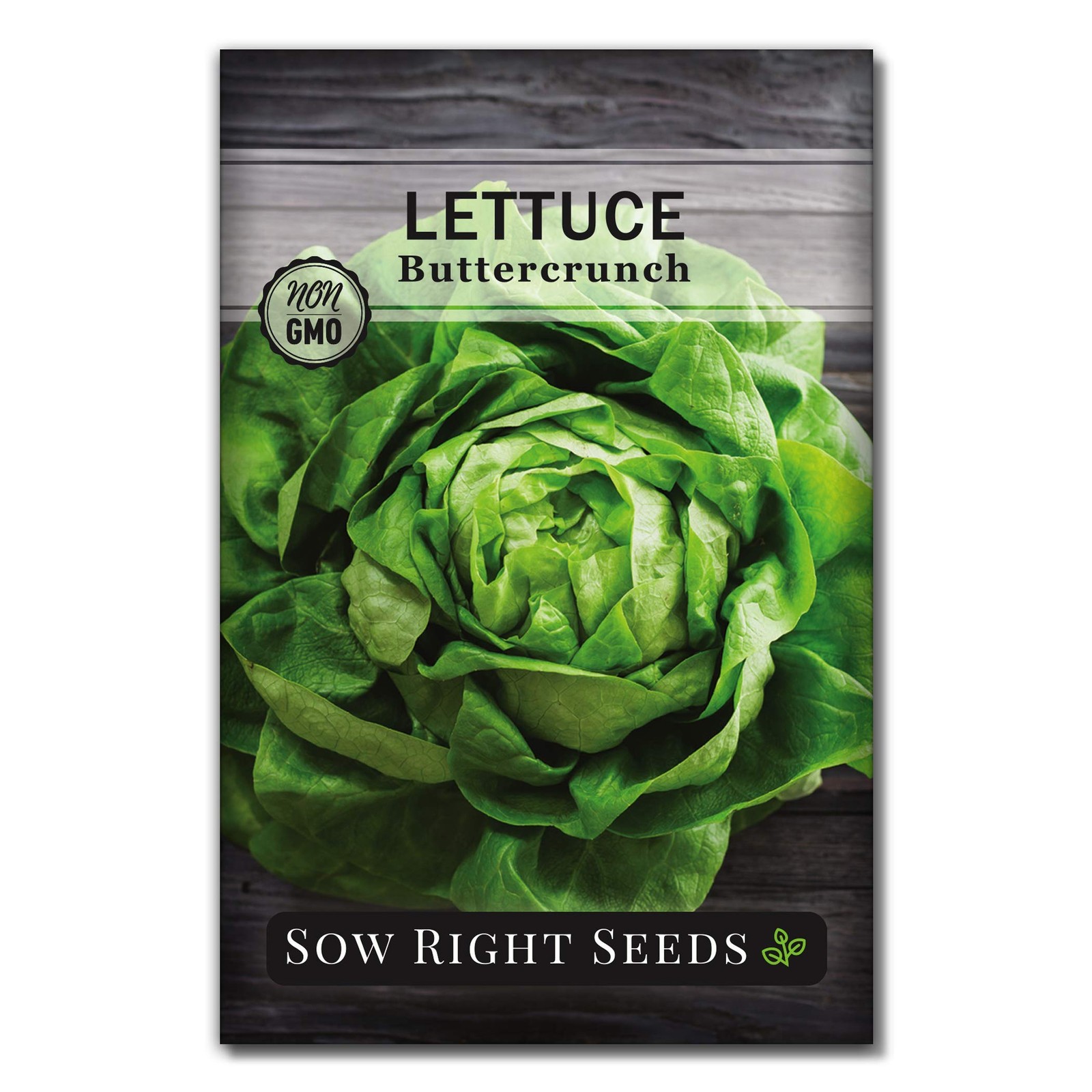 Sow Right Seeds – Buttercrunch Lettuce for Planting – Non-GMO green