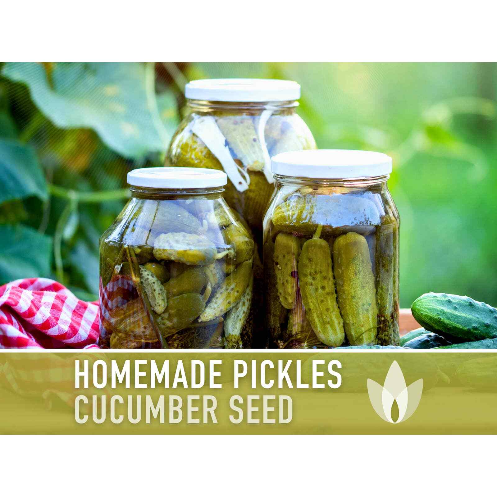 Homemade Pickles Cucumber Heirloom Seeds – Open Pollinated, Non-GMO