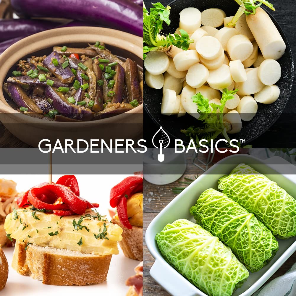 , Asian Vegetable Seeds for Planting 8 Packets Bok Choy, Michihili (Napa) Chi…