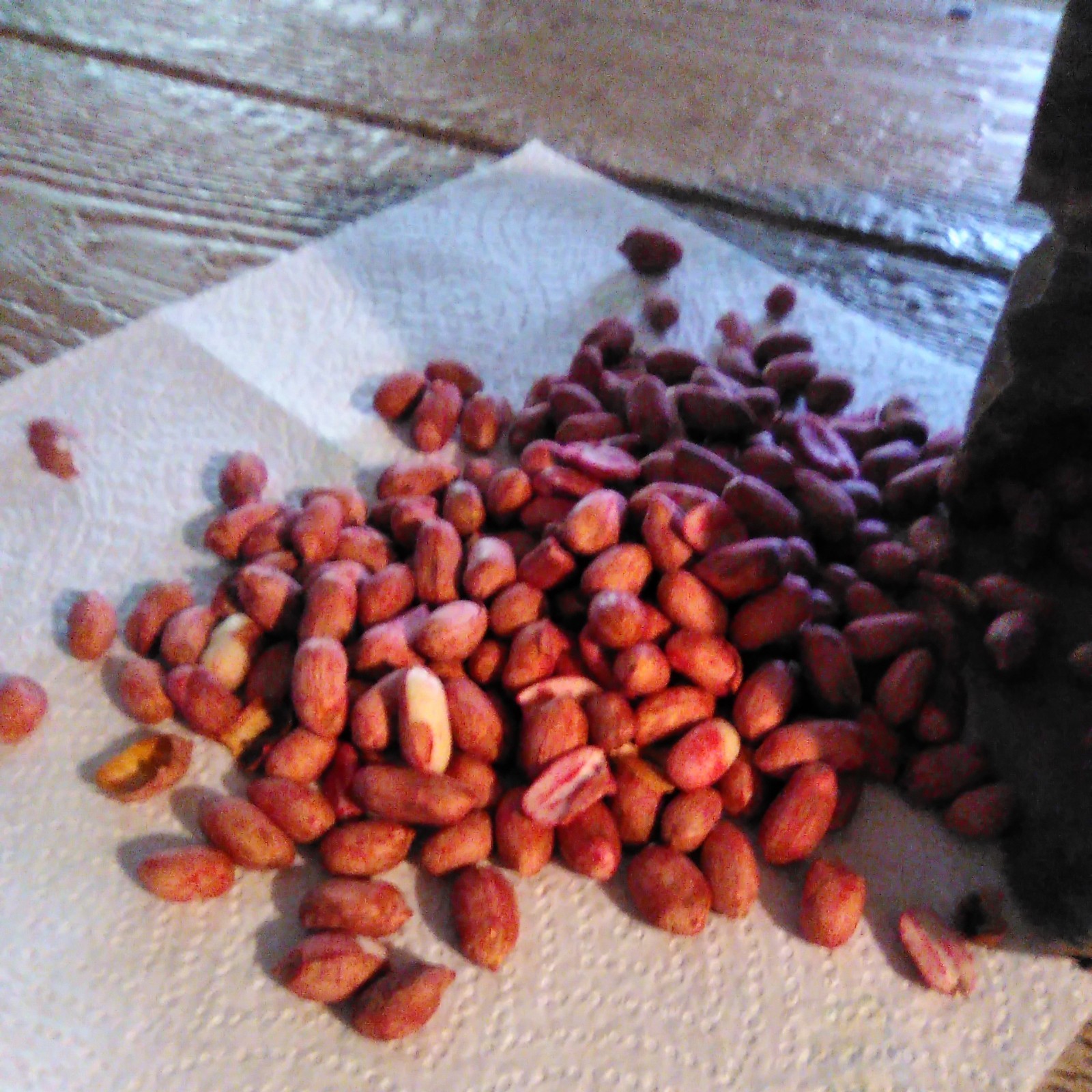 valencia peanuts for planting 100 seeds