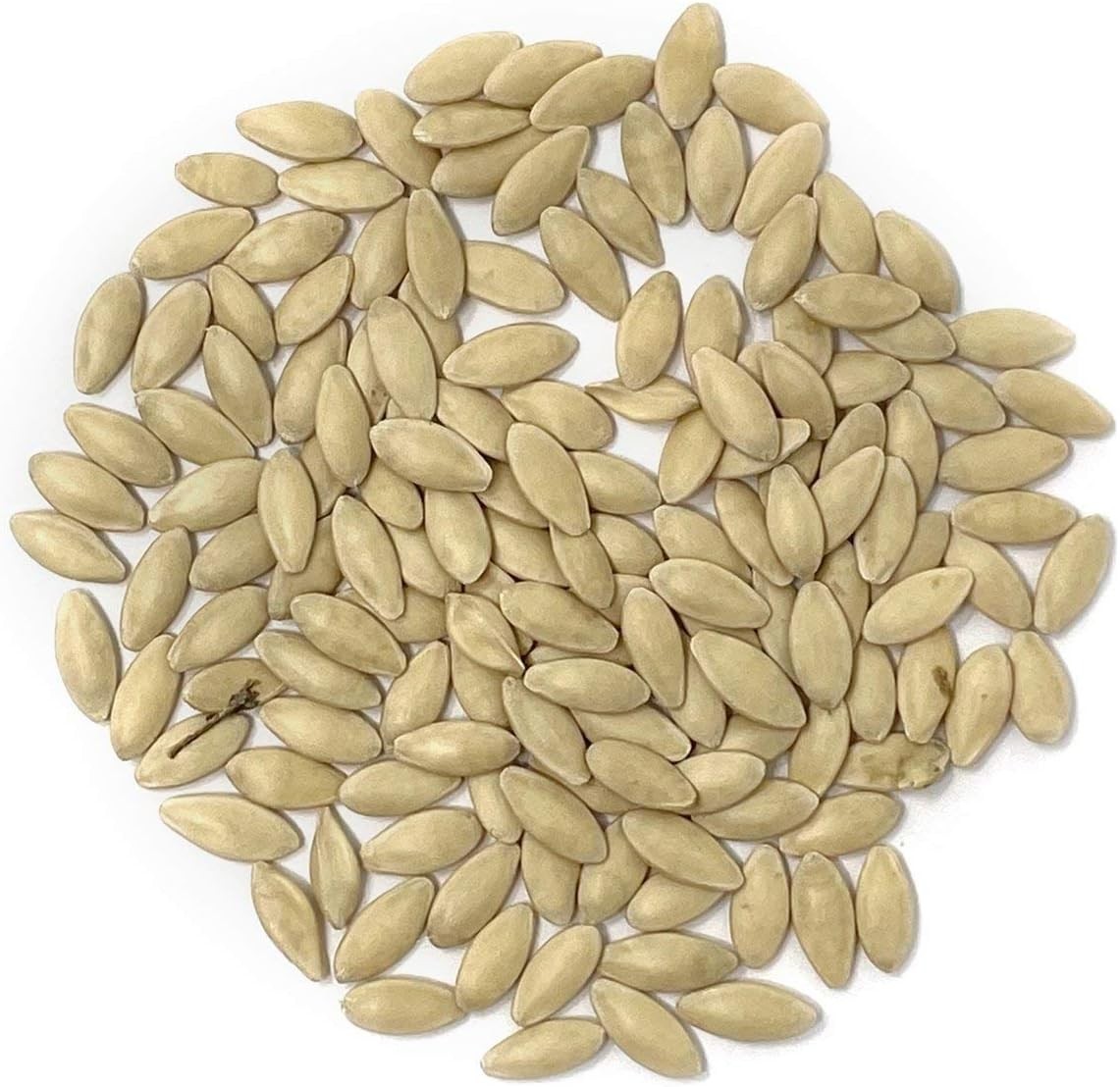 Organic Cucumber Seeds (Marketmore 76) – Approx 100 Seeds – USDA Organic, Non-GM