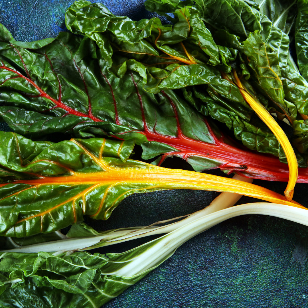 Fresh Premium Rainbow Swiss Chard Seeds | Heirloom Non-GMO | Vegetable Seeds