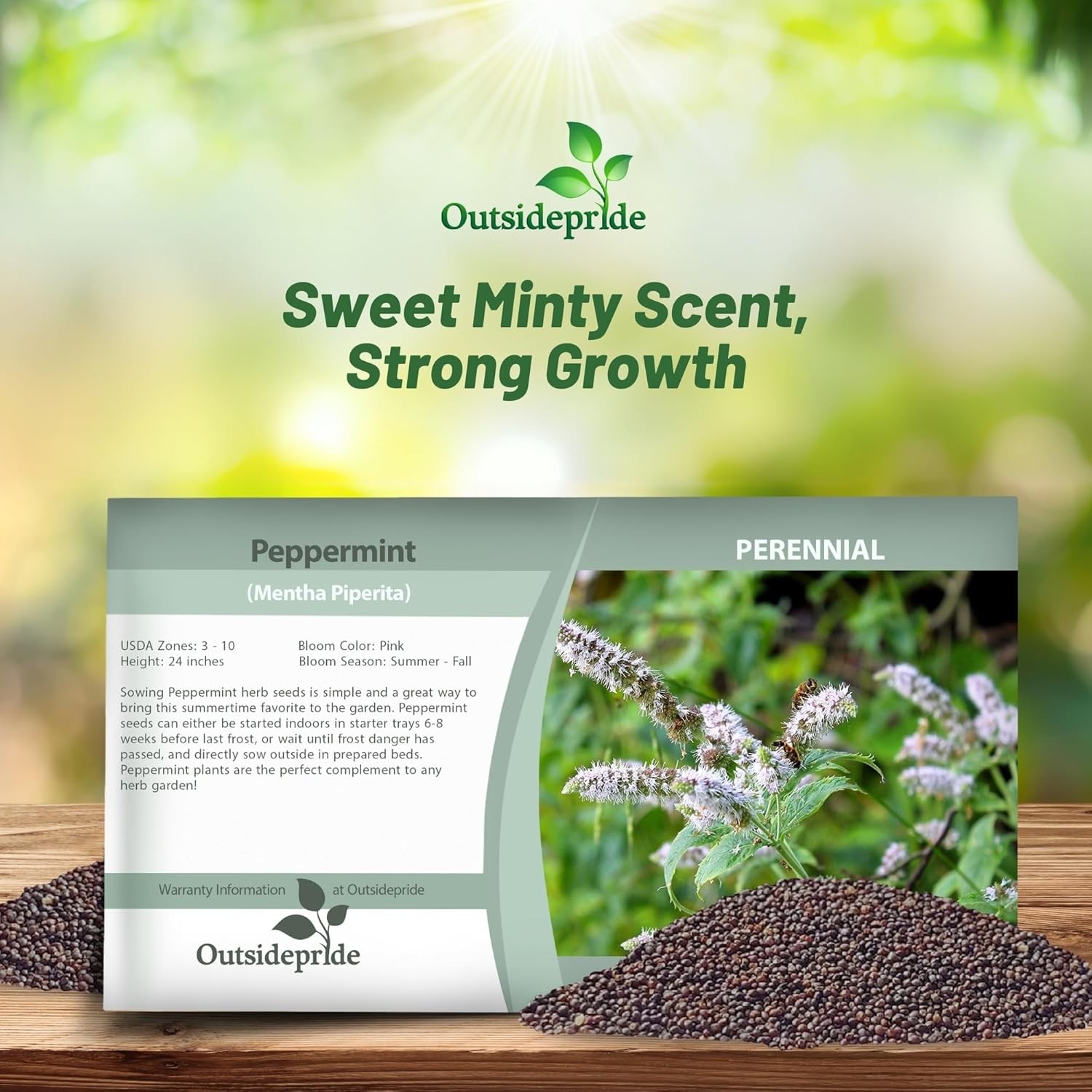 5000 Seeds Peppermint Seed – Mentha Piperita Herb Seeds