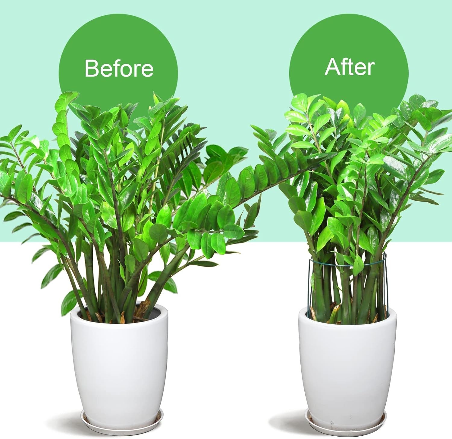 12PCS Plant Supports, Peony Cages, Sturdy Plant Stakes