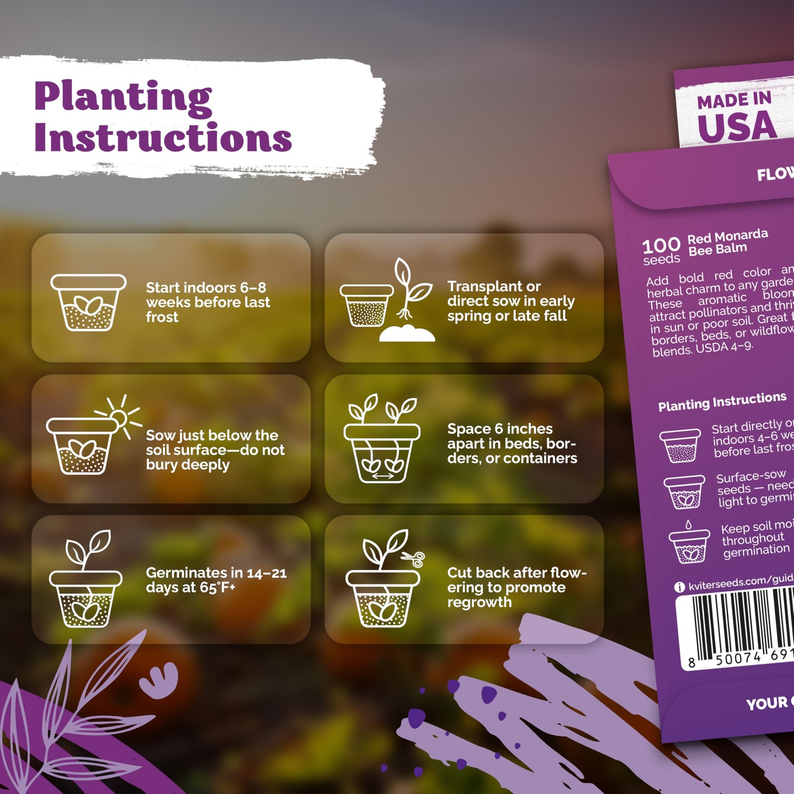 KVITER 100 Red Bee Balm Seeds Perennial (Monarda Didyma)