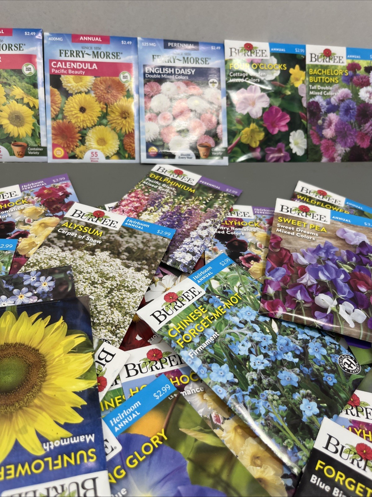 Flowers annual perennial Plant Seeds (Assorted Lot of 100) sell by 11/26 Garden