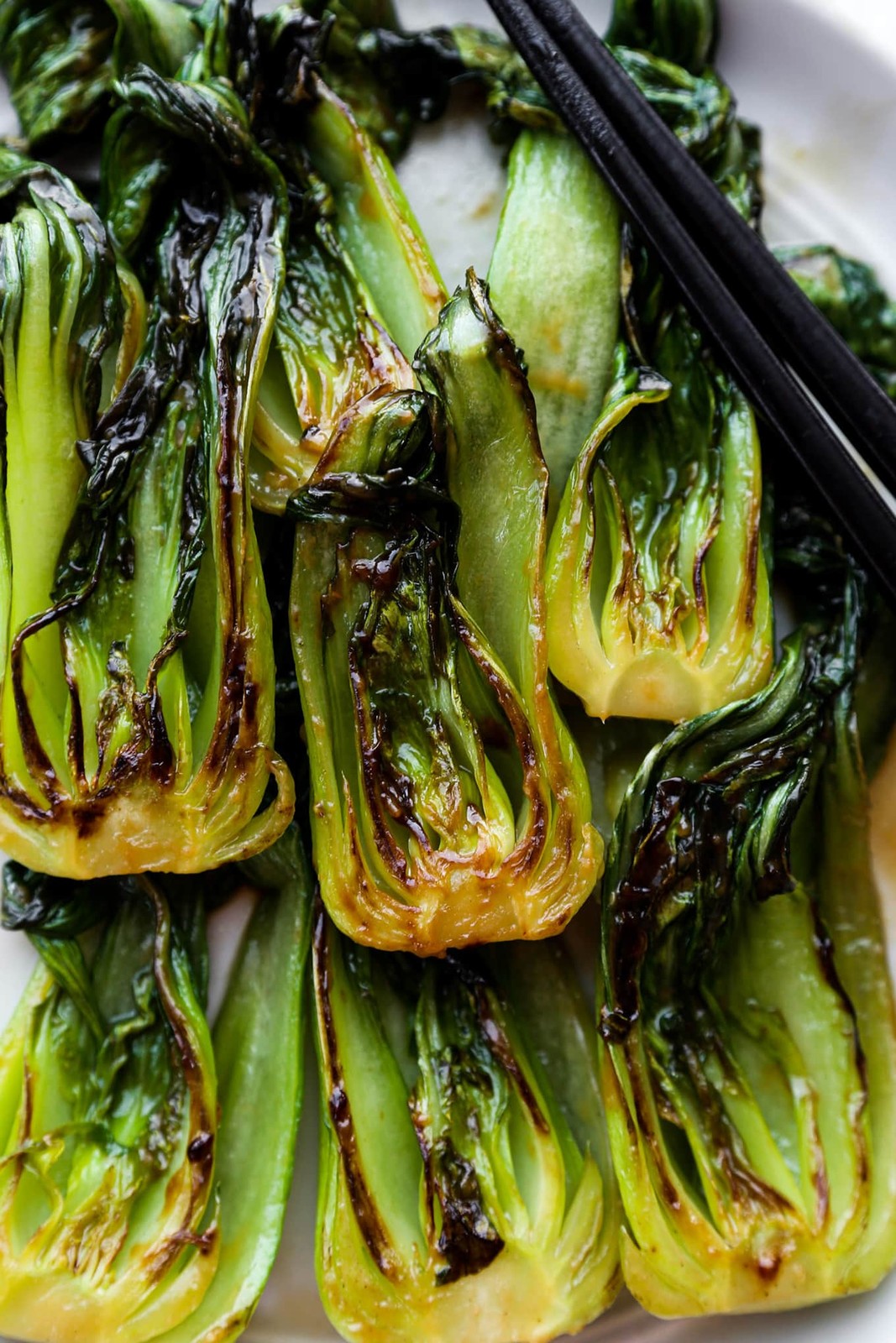 Green Stem Shanghai Bok Choy Seeds |USA Pok Choi Cabbage Chinese Asian Seed 2024