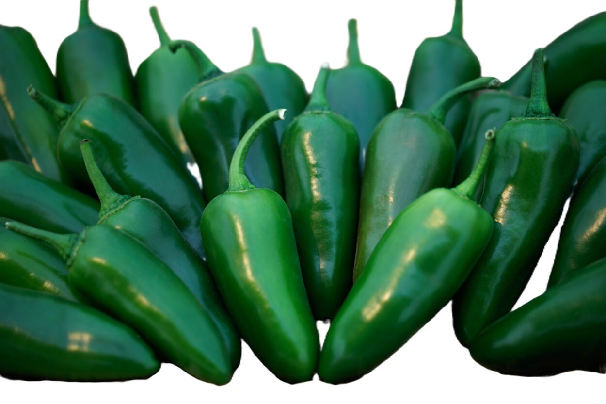 Megatron Hybrid (Treated) Jalapeno Pepper: 10 Seeds GIANT PEPPER, Free Shipping!