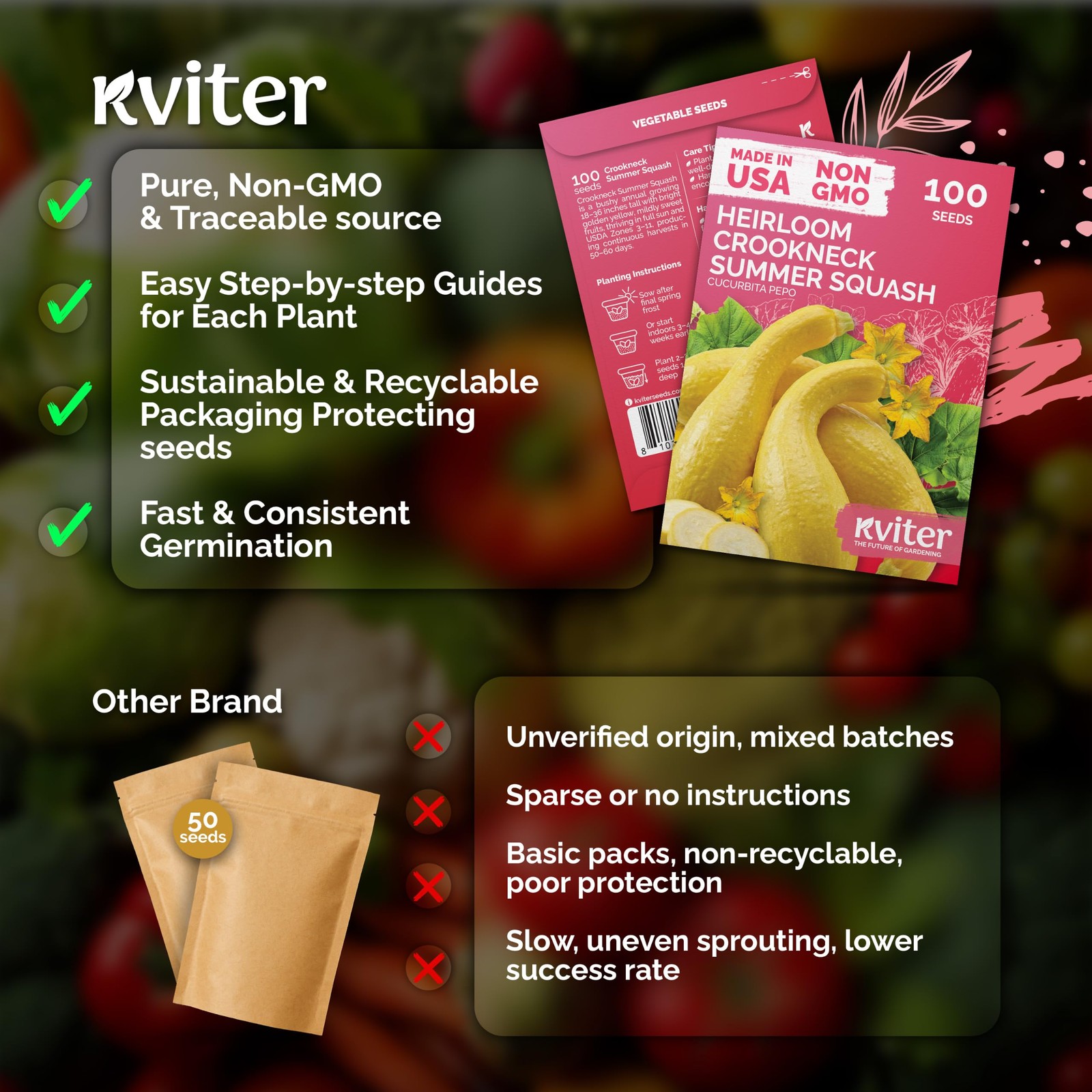 KVITER 100 Crookneck Summer Squash Seeds (Cucurbita pepo)