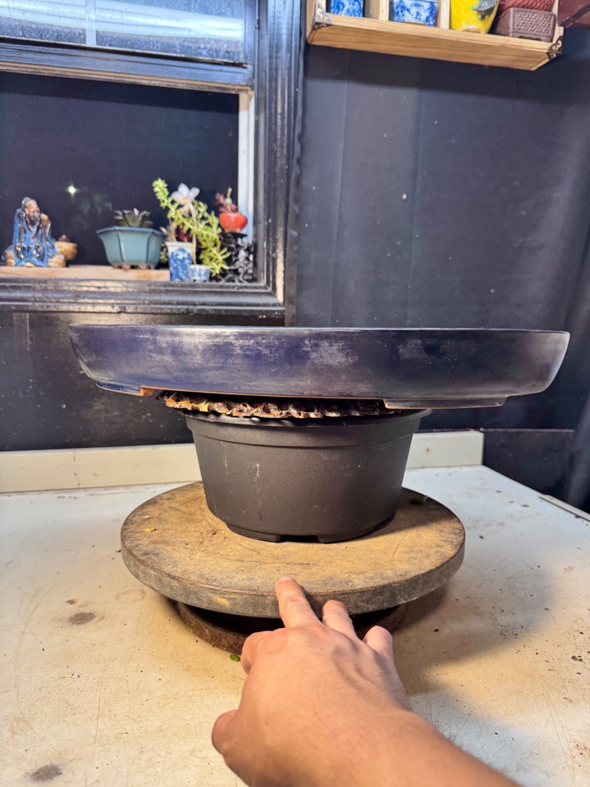 Dark Blue Glazed Tokoname Bonsai Tree Pot By Yamafusa 19 3/8” Big Size