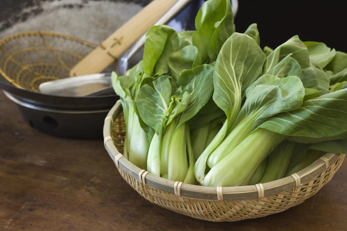 Green Stem Shanghai Bok Choy Seeds |USA Pok Choi Cabbage Chinese Asian Seed 2024