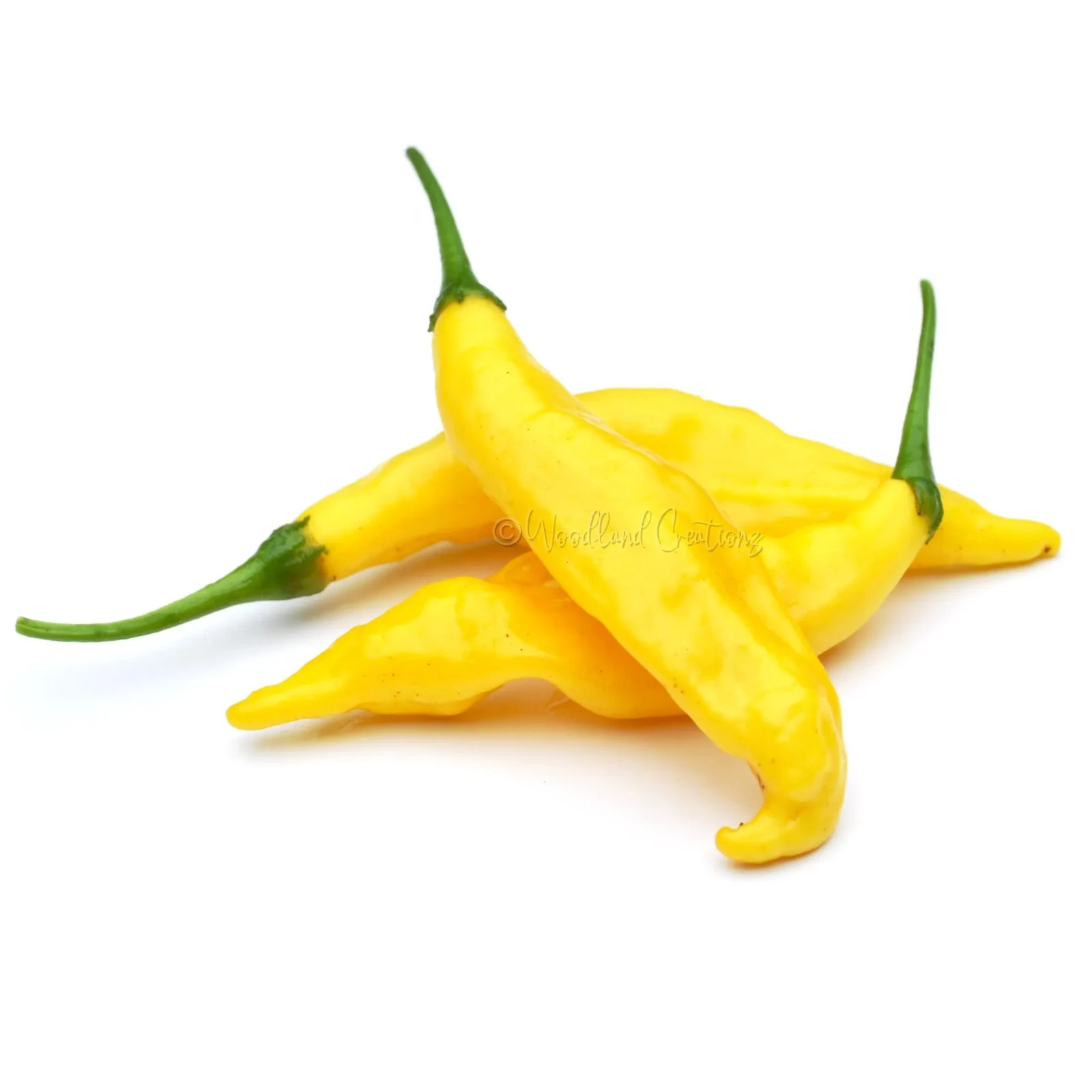 Rare Chili Seeds (Aji Charapita, Pineapple, Mango, Cucamelon)
