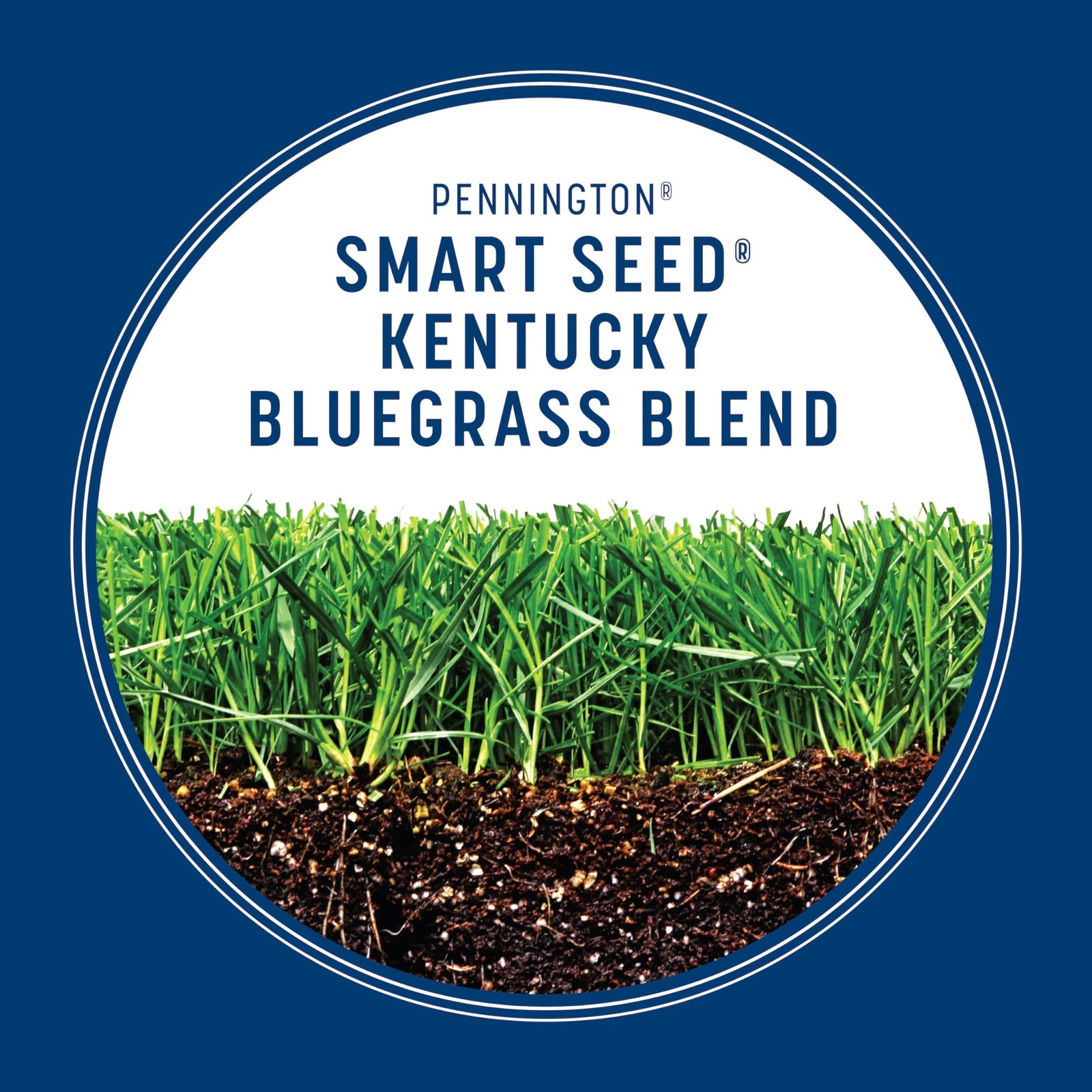 Pennington Smart Seed Kentucky Blue Grass Mix 3 Lb 100543705