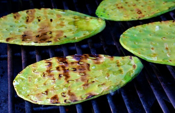 Prickly Pear Cactus Pads Organic Plant, Beauty Regimen, Reptile and Human Food