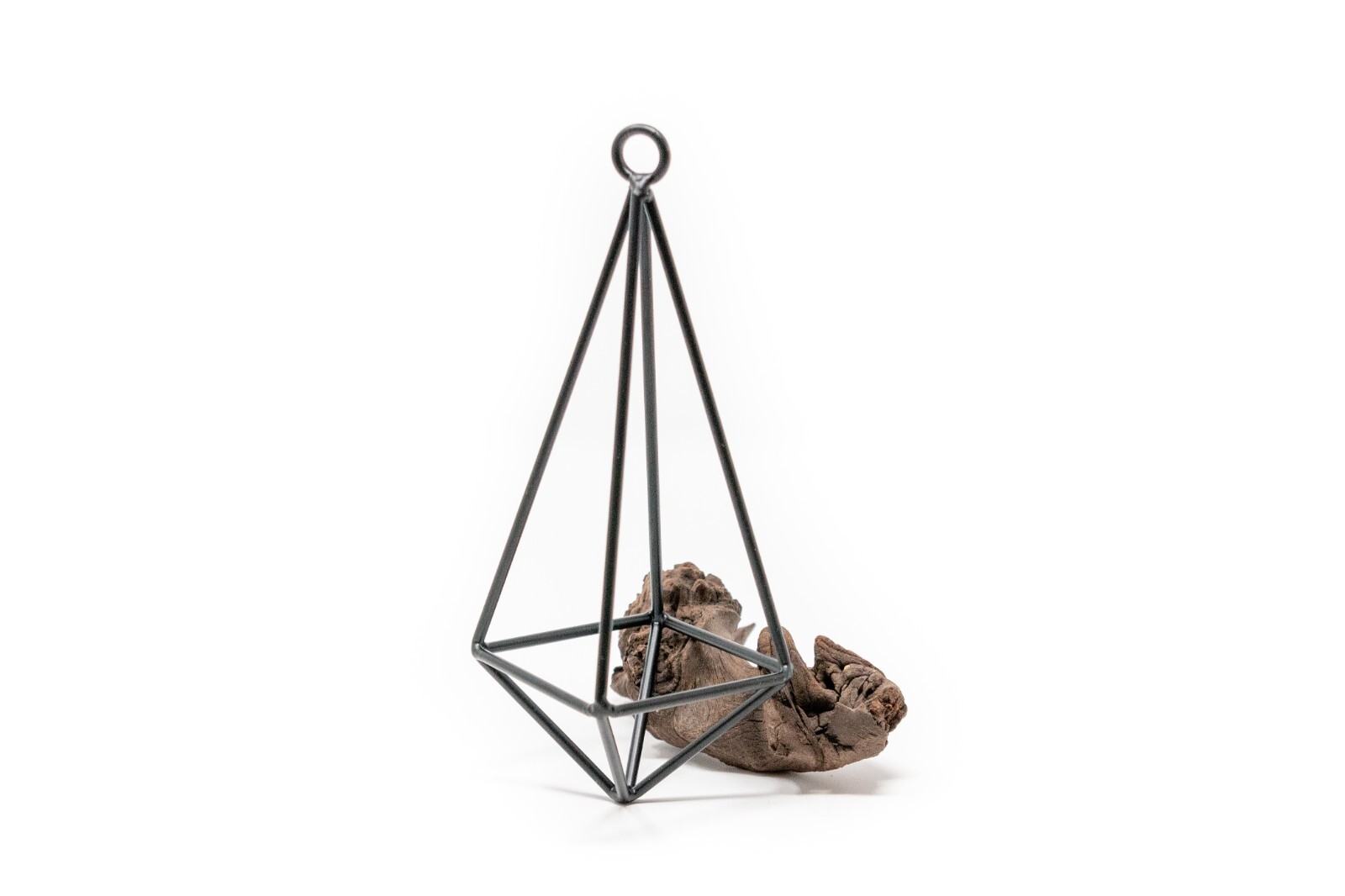 Hanging Black Metal Pendant with Medium Air Plant – Wholesale Tillandsia Decor