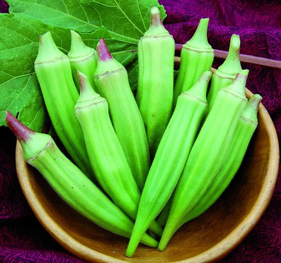 60 Heirloom Clemson Spineless Okra Seeds – Tender Pods, Easy Harvest